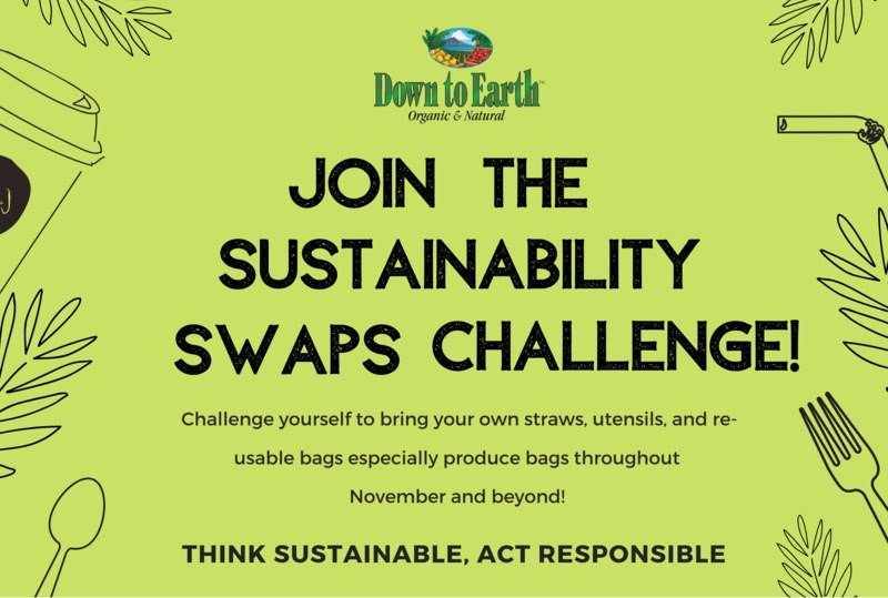 Simple Sustainable Swaps | Down To Earth Organic And Natural