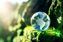 Photo Illustration: Glass earth globe in nature