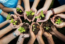 Photos: Hands holding plants