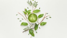 One Word, Endless Possibilities: Matcha