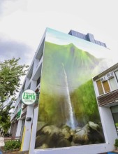 Photo: Waterfall mural with Down to Earth sign